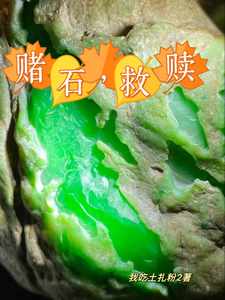 我可能是一只假的奥特曼