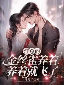 穿越之监控人