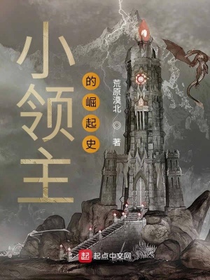 小领主的崛起史