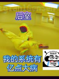 后室：我的系统有亿点大病