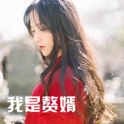 我是赘婿