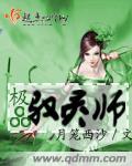 极品驭灵师