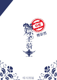 嫖圣骑士