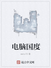 电脑国度