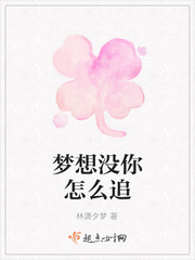 梦想没你怎么追