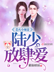 惹火小辣妻：陆少，放肆爱