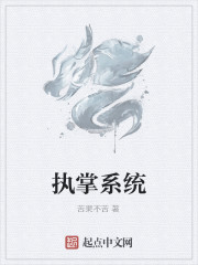 执掌系统
