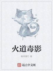 火道毒影