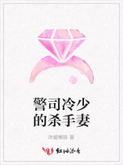 警司冷少的杀手妻
