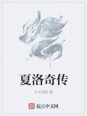神光夏皇