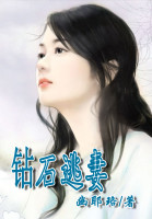 钻石逃妻