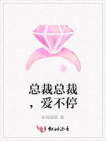 总裁总裁，爱不停