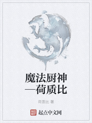 魔法厨神—荷质比