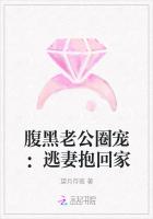 腹黑老公圈宠：逃妻抱回家