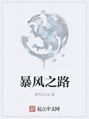 暴风之路