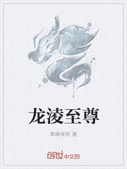 圣王之境