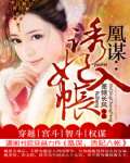 凰谋——诱妃入帐