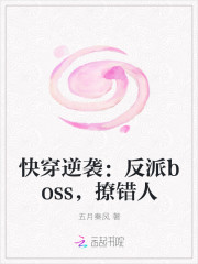 快穿逆袭：反派boss，撩错人