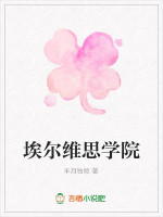 埃尔维思学院