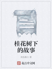 桂花树下