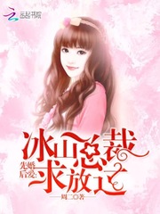 先婚后爱：冰山总裁求放手