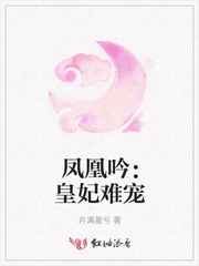 凤凰吟：皇妃难宠