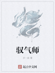 驭气师