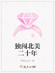 独闯北美二十年