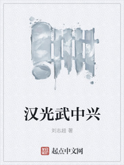 汉光武中兴