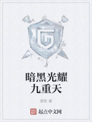 暗黑光耀九重天
