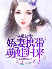 霸道总裁：娇妻携带萌娃归来