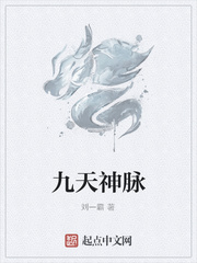 九天神脉
