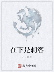 在下是刺客