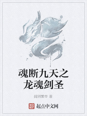 龙魂剑圣