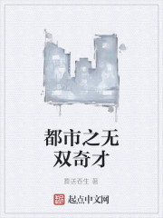官场奇才