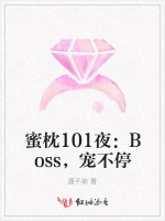 蜜枕101夜：Boss，宠不停
