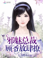 邪魅总裁：顾爷放肆撩
