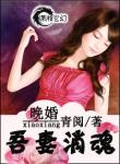 晚婚——吾妻銷魂