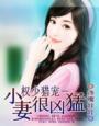权少猎宠－小妻很凶猛