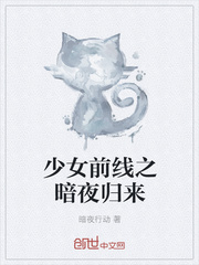 少女前线之暗夜归来