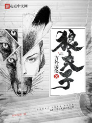 三国之乡村小教师