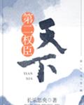 天下第二权臣