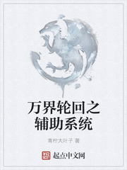 万界轮回之辅助系统