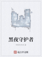 黑夜守护者