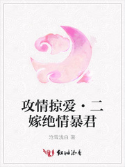 攻情掠爱·二嫁绝情暴君