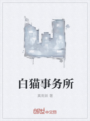 白猫事务所