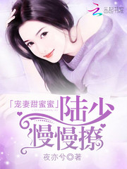 宠妻甜蜜蜜：陆少，慢慢撩