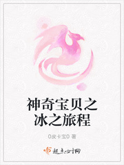 神奇宝贝之冰之旅程