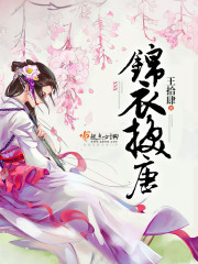 盖世神偷