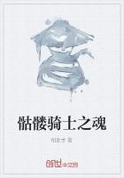 骷髅骑士之魂